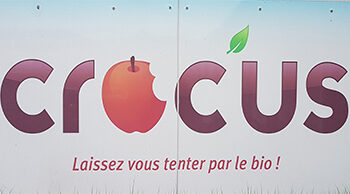 Du vin aux liens Alsace Crocus logo partenaire
